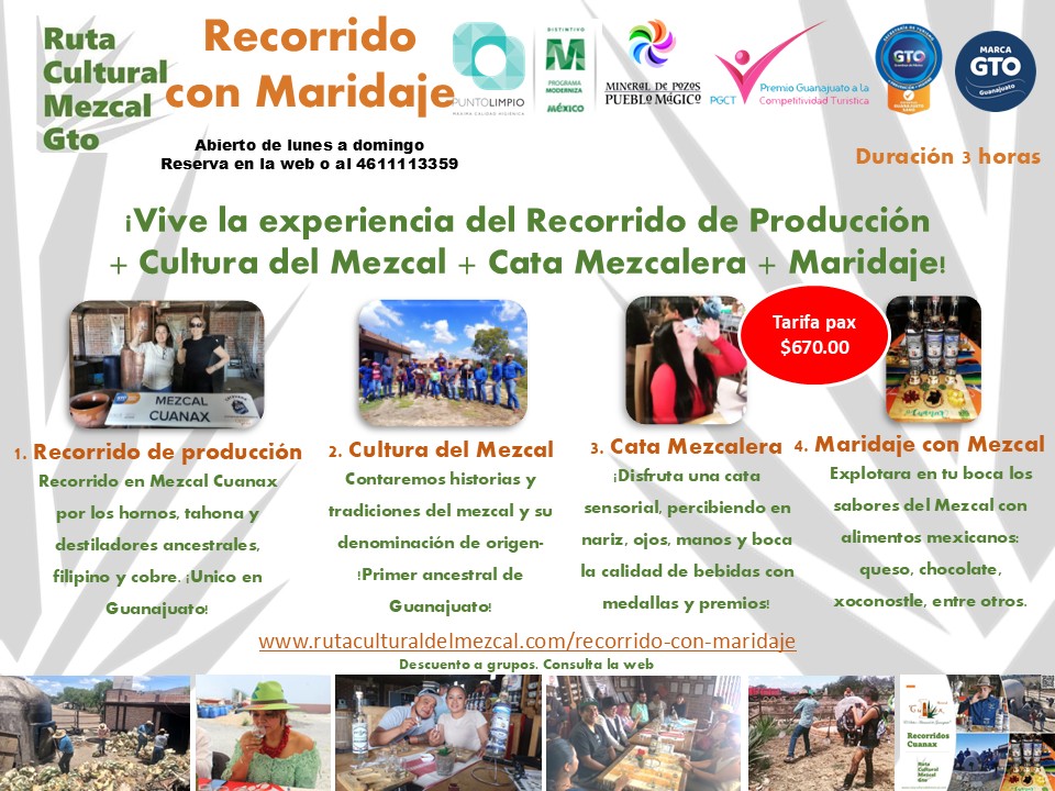 Recorrido con maridaje - Imagen 2