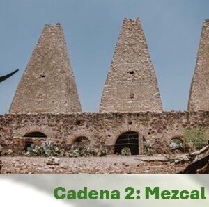 Mezcal Mágico