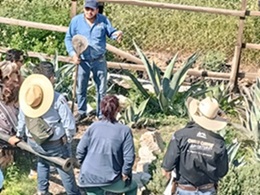 Mezcal Minero - Imagen 9