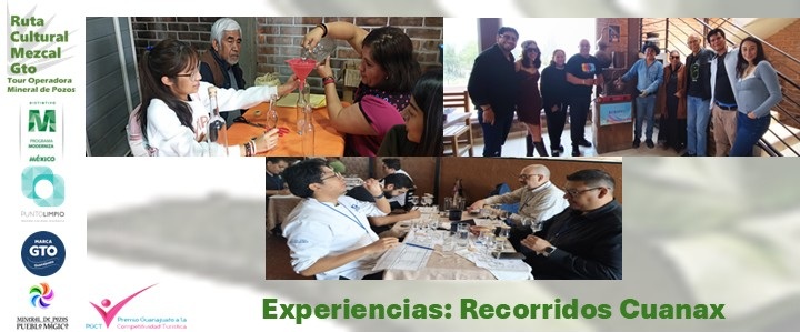 Taller Recuerdo de Pozos - Imagen 21