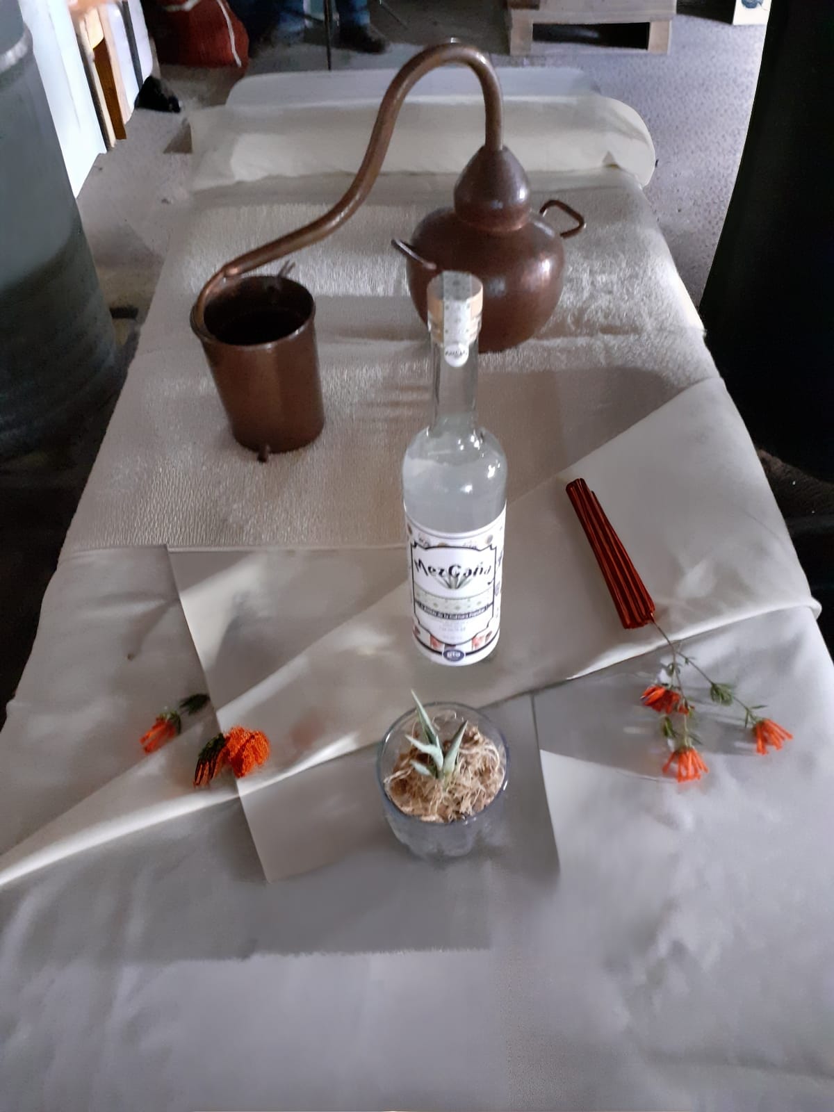 Relax Mezcal Mágico13