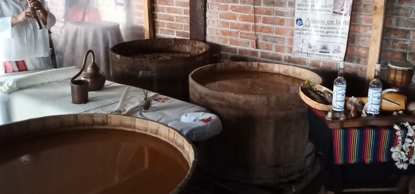 Relax Mezcal3