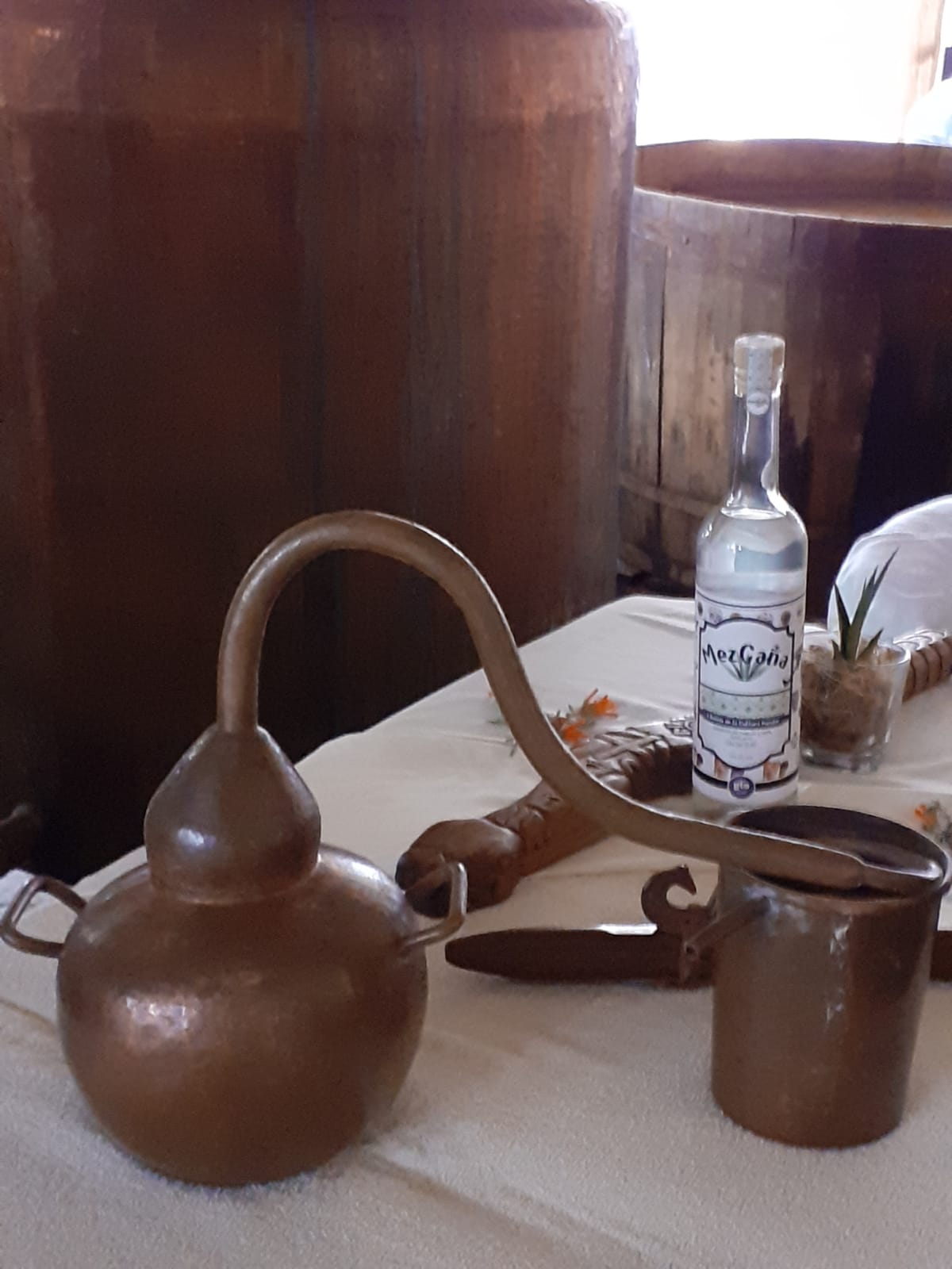 Relax Mezcal4