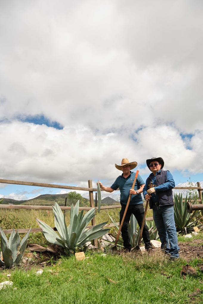 Ruta mezcal ATV2