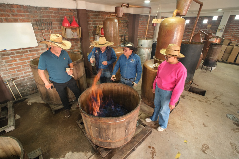 Ruta mezcal ATV6