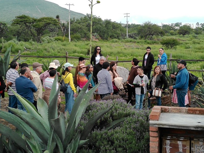 Mezcal de Hacienda - Imagen 17