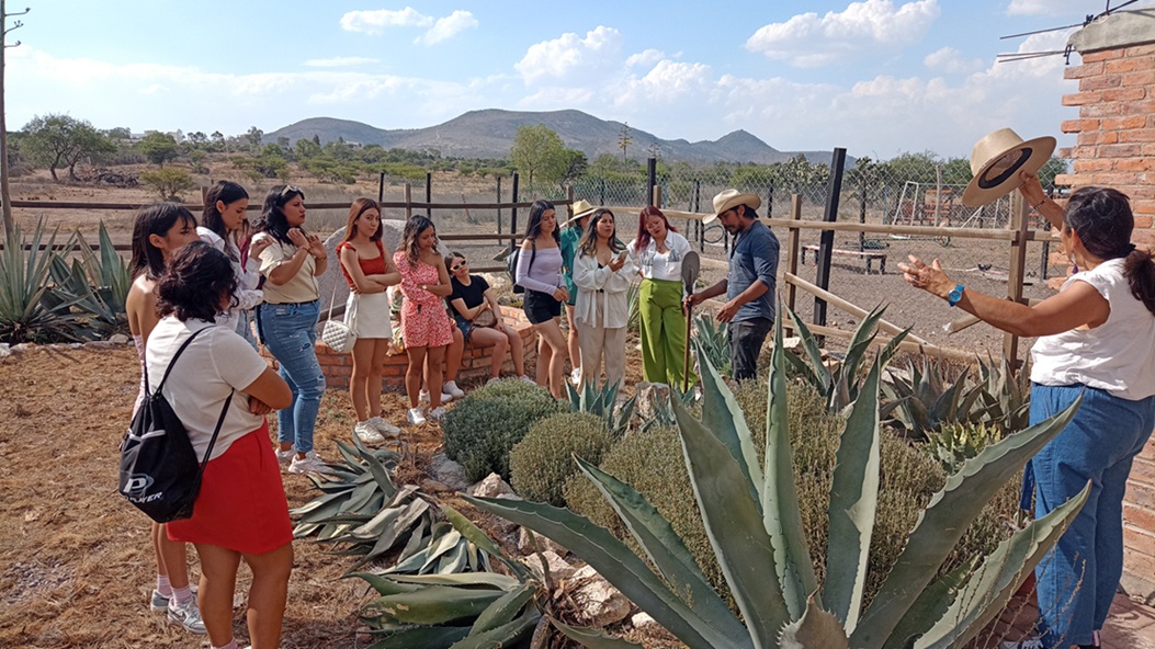 Mezcal de Hacienda - Imagen 3