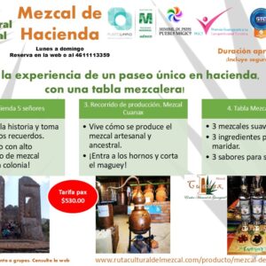 Mezcal de Hacienda experiencia en Mineral de Pozos