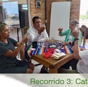 Cata uno