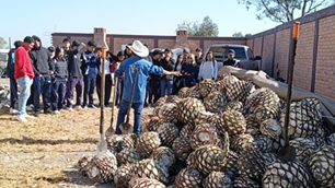 Visita Mezcalera - Imagen 7