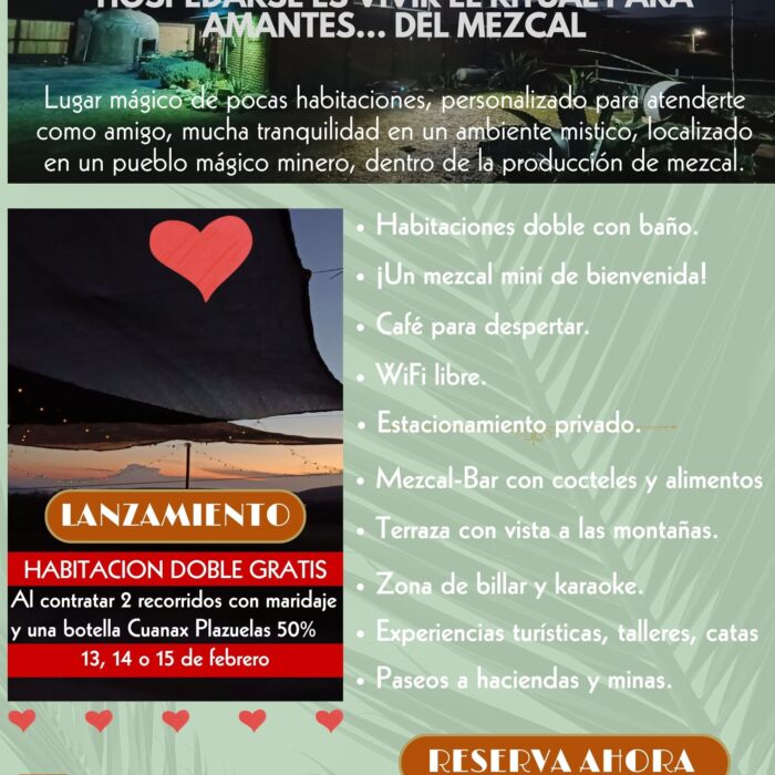Paquete promo habitación gratis