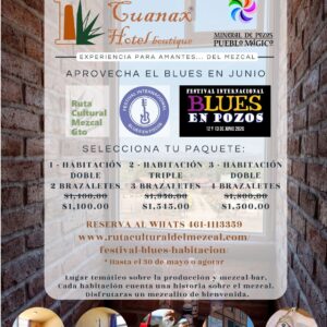 Festival blues y habitación
