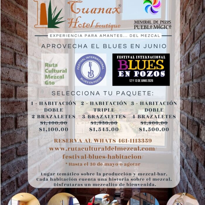 Festival blues y habitación