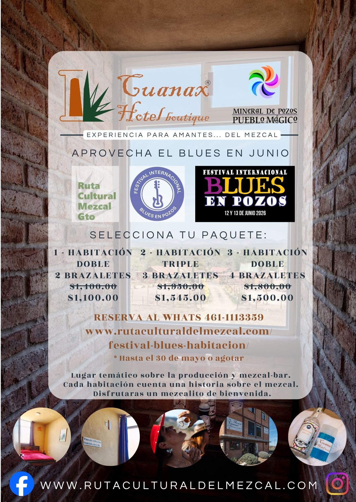 Festival blues y habitación