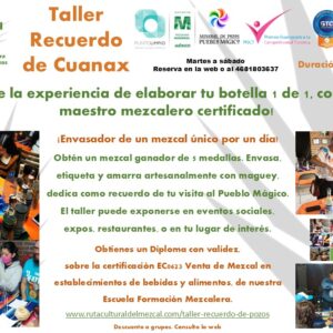 Taller de recuerdo de cuanax