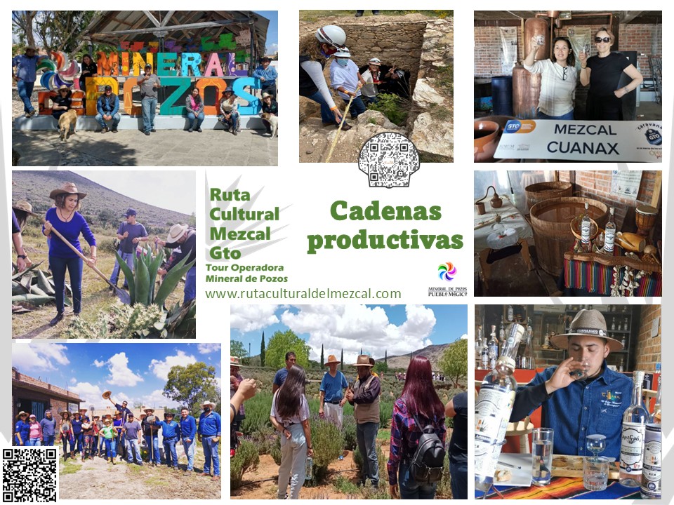 Cadenas productivas