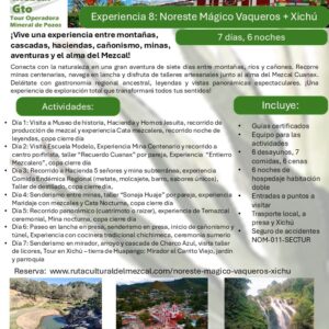 Experiencia 8