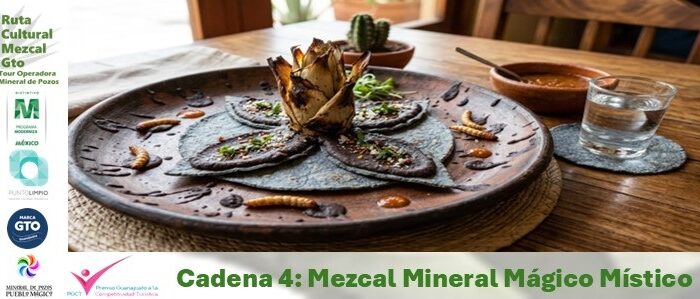 Mezcal mineral mágico místico