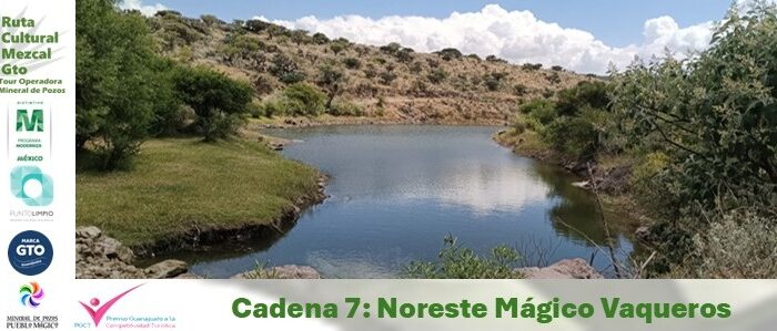 Noreste Mágico Vaqueros