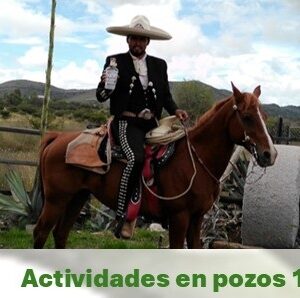 Cabalgata en mineral de pozos