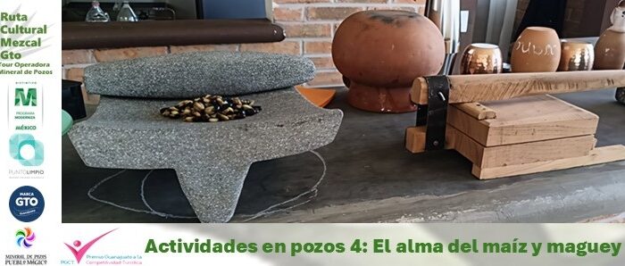El alma del maíz y maguey en mineral de pozos pueblo magico