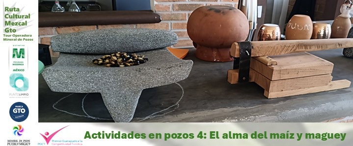 El alma del maíz y maguey en mineral de pozos pueblo magico